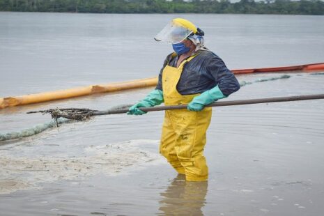 ISO 14001 en la gestión de las responsabilidades ambientales